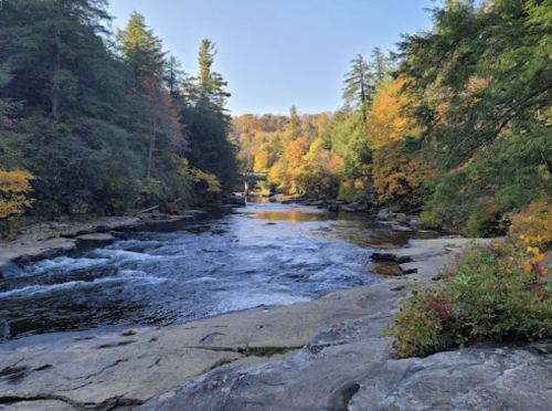A serene river flows through a forested landscape with autumn foliage, reflecting a clear blue sky.