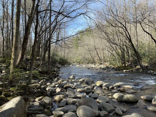 A serene river flows through a rocky landscape, surrounded by bare trees and a clear blue sky.