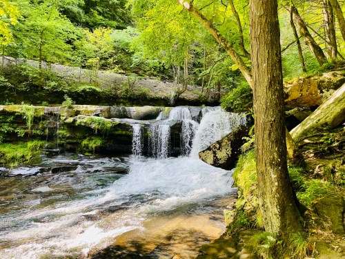 A serene waterfall cascades over rocks, surrounded by lush green trees and foliage in a tranquil forest setting.