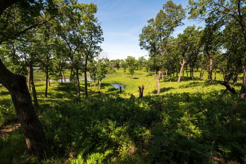 Lush green landscape with trees, a small pond, and clear blue skies, creating a serene natural setting.