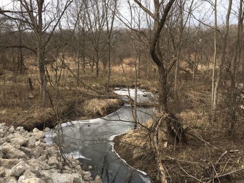 A winding stream flows through a barren landscape with bare trees and patches of ice along the water's edge.