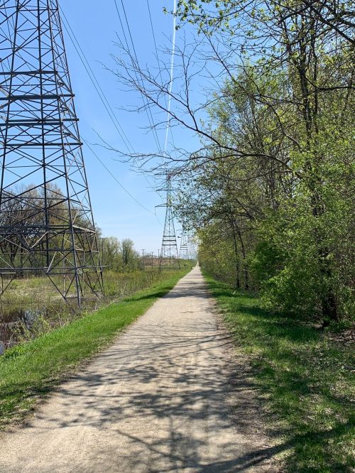 A clear path lined with trees and power lines under a blue sky on a sunny day.