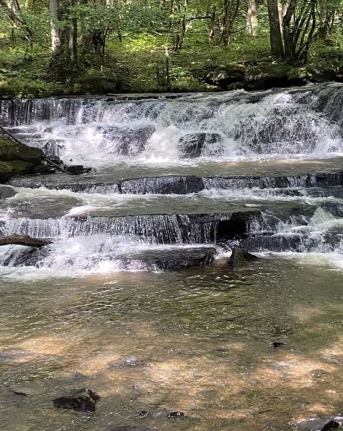 A serene waterfall cascades over rocky steps in a lush green forest. Sunlight filters through the trees.