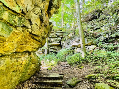A rocky path leads through a lush green forest, with steps ascending between towering stone walls.