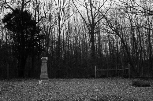 A solitary gravestone stands in a leaf-covered clearing, surrounded by bare trees in a moody, black-and-white setting.