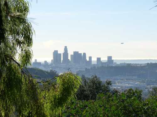 A distant view of a city skyline with tall buildings, framed by greenery and a clear blue sky.