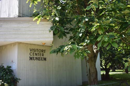 Sign on a building reading "Visitors Center Museum" next to a large tree in a green outdoor setting.