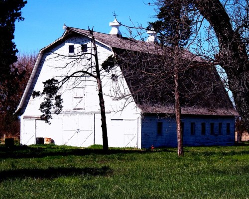 A white barn with a peaked roof stands in a grassy field, surrounded by trees under a clear blue sky.