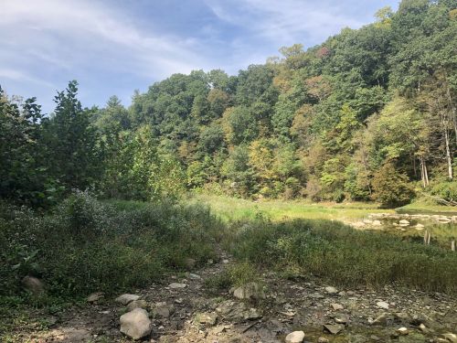 A serene landscape featuring a riverbank with rocks, lush greenery, and trees in autumn colors under a blue sky.