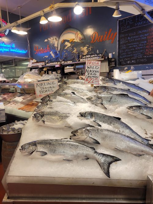Fresh salmon displayed on ice at a fish market, with signs for airline travel boxes and wild Alaskan salmon.