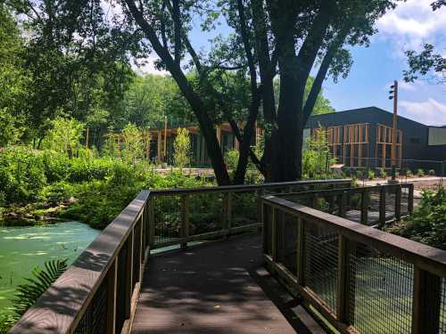 A wooden walkway leads through lush greenery to modern buildings under a blue sky.