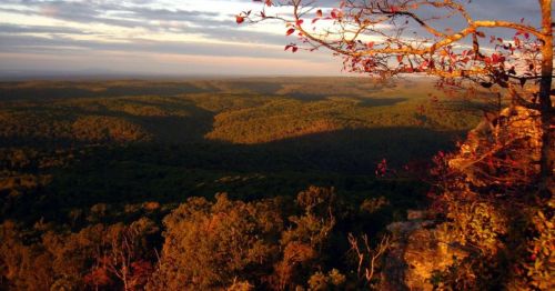 A scenic view of rolling green hills under a colorful sunset, with a tree branch in the foreground.