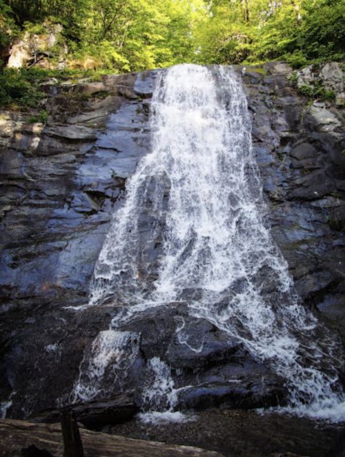 A cascading waterfall flows down a rocky cliff surrounded by lush green trees.