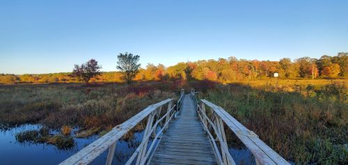 A wooden bridge leads through a colorful autumn landscape with trees and a calm waterway. Clear blue sky above.
