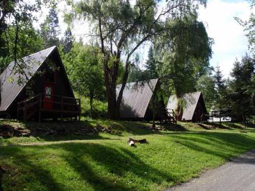 A row of A-frame cabins surrounded by trees and greenery, with a path in the foreground.