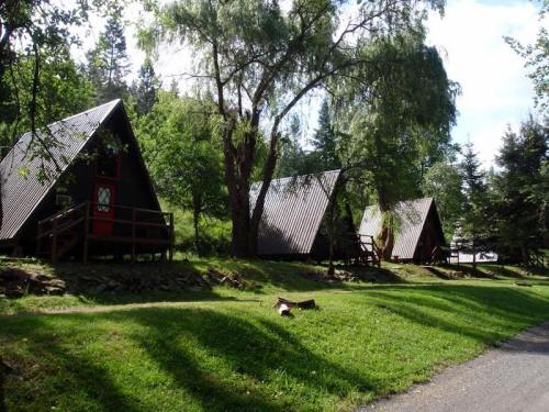 A row of A-frame cabins surrounded by trees and greenery, with a path in the foreground.