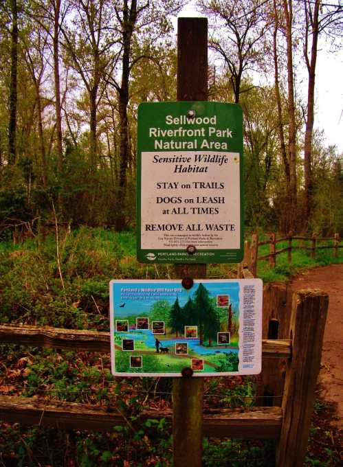 Sign at Sellwood Riverfront Park Natural Area with rules for wildlife protection, including leash requirements for dogs.