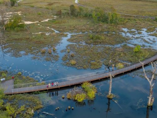 Aerial view of a wooden walkway winding through a wetland area with water, greenery, and a few people walking.