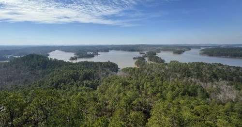 A viewpoint overlooking mountains and forests from a hiking trail in Alabama.