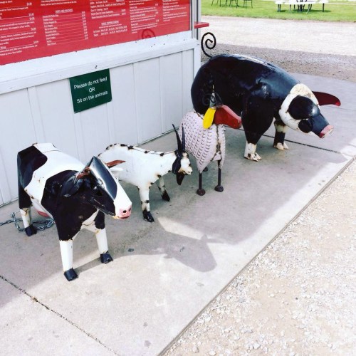 Four metal animal sculptures—cow, goat, sheep, and pig—displayed outside a building on a gravel surface.