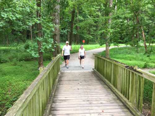 Two people walk across a wooden bridge in a lush green park, surrounded by trees and a winding path.