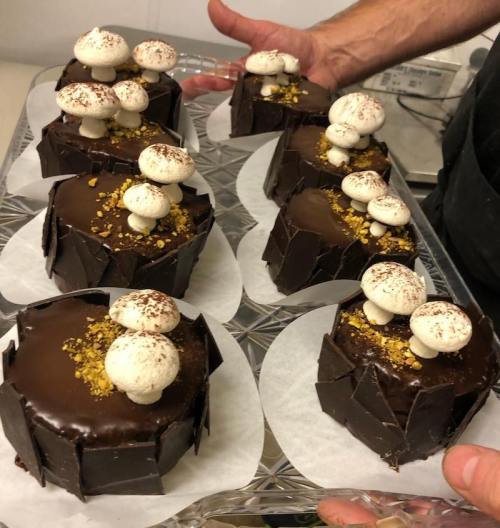 A tray of small chocolate cakes topped with meringue mushrooms and crushed nuts, held by a person.