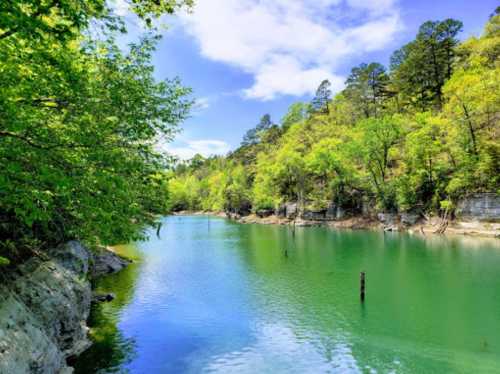 A serene river surrounded by lush green trees and rocky cliffs under a bright blue sky.