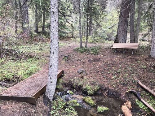 A serene forest scene featuring a small stream, wooden bridge, and two benches surrounded by trees and greenery.