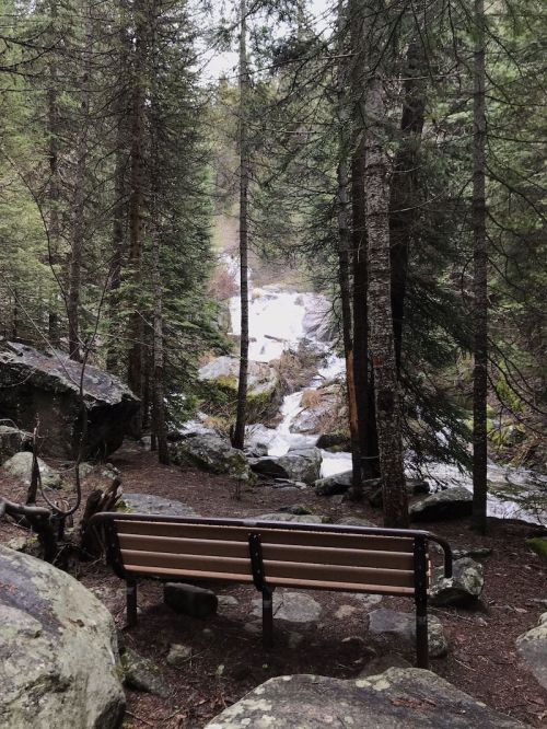 A wooden bench sits among trees, overlooking a flowing waterfall in a serene forest setting.