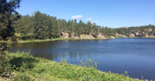 A serene lake surrounded by lush green trees and rocky formations under a clear blue sky.