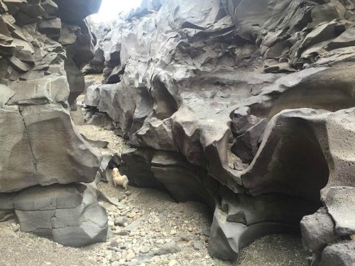 Rocky canyon with smooth, sculpted stone formations and a small, sandy path running through the center.