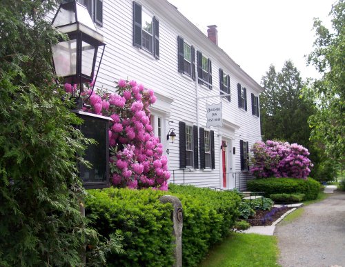 A charming white house with black shutters, surrounded by vibrant pink rhododendrons and lush green bushes.