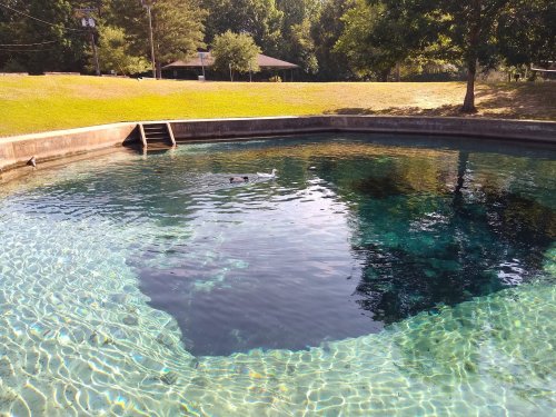 A clear, tranquil pond surrounded by grass and trees, with a small set of stairs leading into the water.
