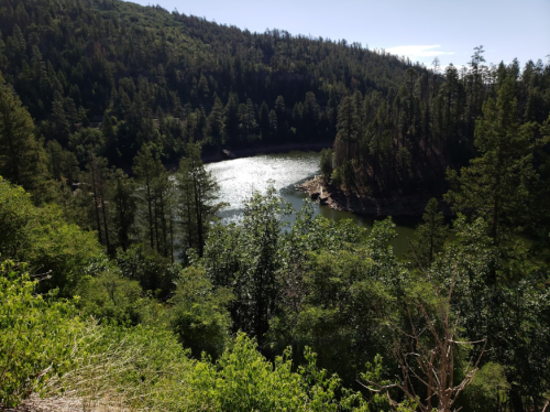 A serene view of a lake surrounded by lush green trees and hills under a clear blue sky.