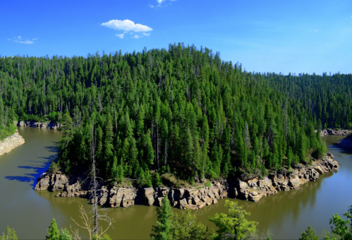 A serene river bends around a lush, green island surrounded by tall trees under a clear blue sky.