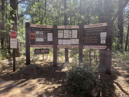 Signage at Blue Ridge Campground in Coconino National Forest, detailing information, fees, and rules for visitors.