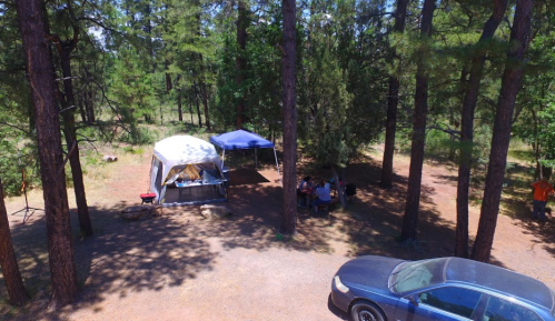 Aerial view of a campsite with tents, a gathering area, and a car surrounded by tall trees in a forested area.