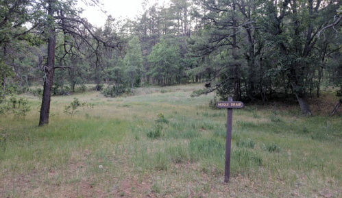 A grassy clearing surrounded by trees, featuring a wooden sign that reads "Mould Draw."