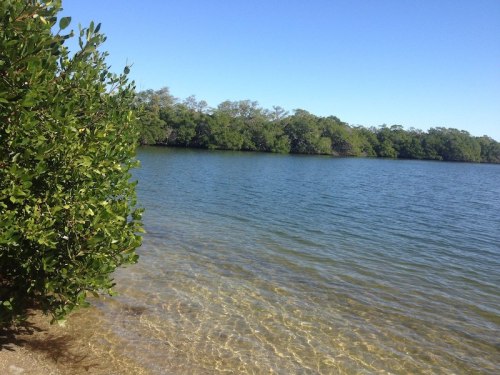 A serene lake scene with clear water, surrounded by lush green trees under a bright blue sky.