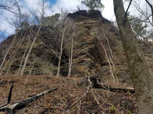 A steep rock formation rises above a forested area, with bare trees and fallen branches in the foreground.