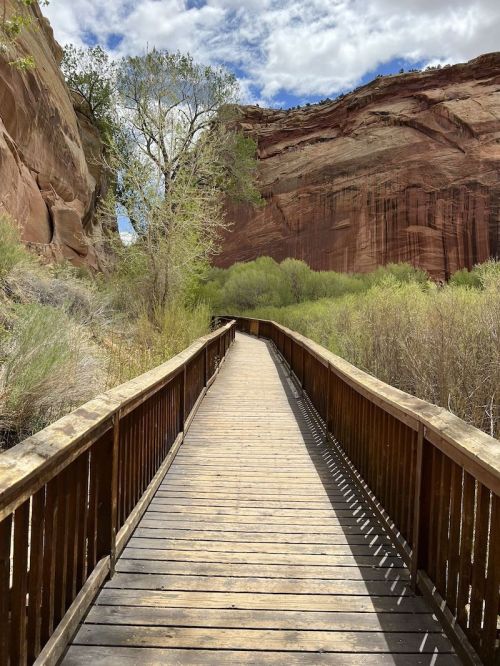A wooden walkway leads through lush greenery, flanked by towering red rock formations under a partly cloudy sky.