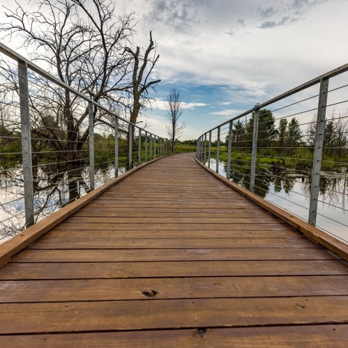 A wooden walkway leads over calm water, surrounded by trees and a cloudy sky.