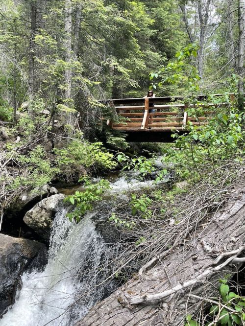 A wooden bridge over a small waterfall, surrounded by lush green trees and rocky terrain.