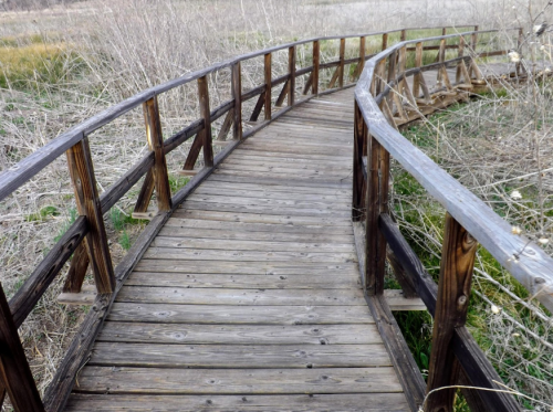 A winding wooden boardwalk through a grassy area, surrounded by dry vegetation.