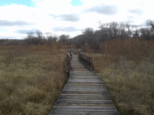 A person walks along a wooden boardwalk through a grassy area with sparse trees under a cloudy sky.