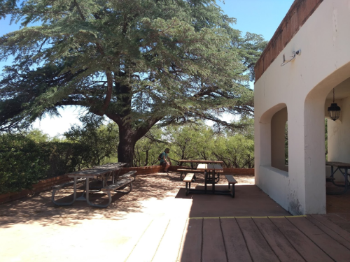 A shaded outdoor area with picnic tables and a large tree, surrounded by greenery and a white building.