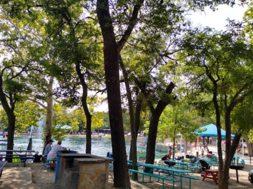A park scene with trees, picnic tables, and people enjoying a lake with recreational activities in the background.