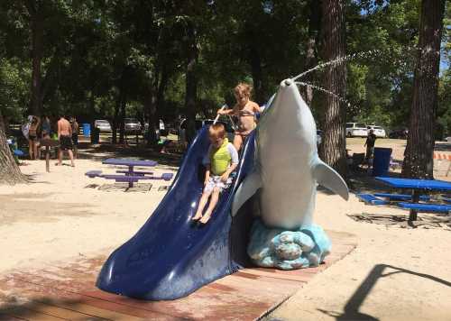 Two children slide down a blue slide shaped like a dolphin, with water spraying from its mouth in a sunny park setting.