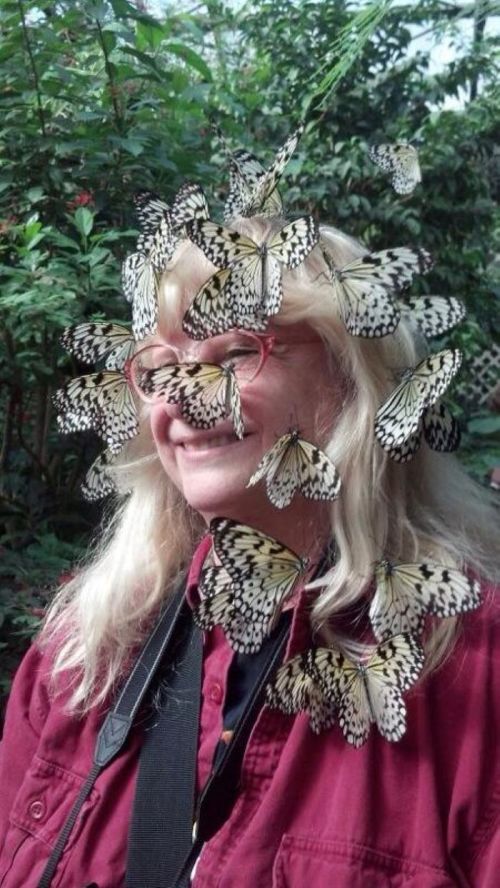 A woman with long blonde hair smiles as butterflies surround her in a lush, green environment.