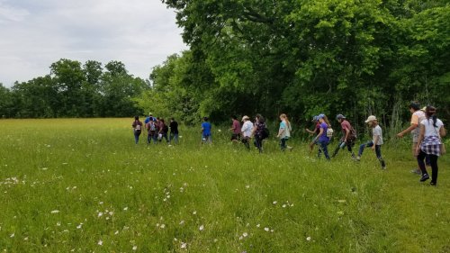 A group of people walking through a grassy field with trees in the background on a cloudy day.